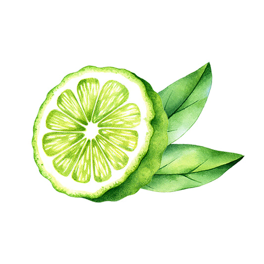 Bergamot Essential Oil