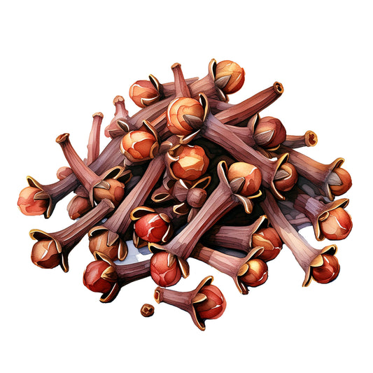 CLEARANCE | Clove Essential Oil | Limited Availability
