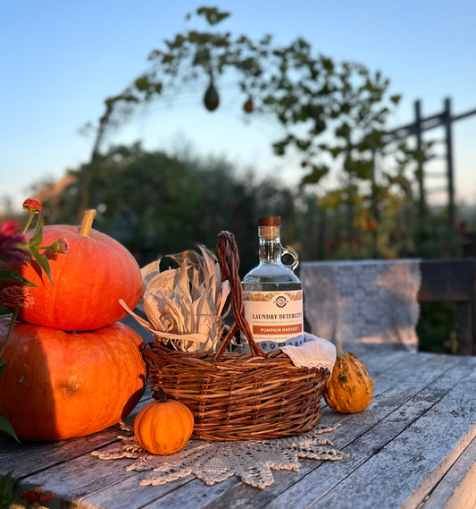 Autumn Sample Set | Retail Size Hand, Dish & Laundry | Pumpkin Harvest