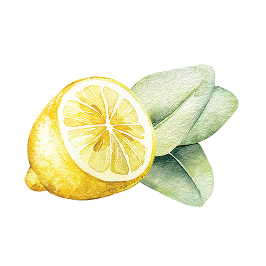 Rustic Strength, watercolor picture of lemon and eucalyptus