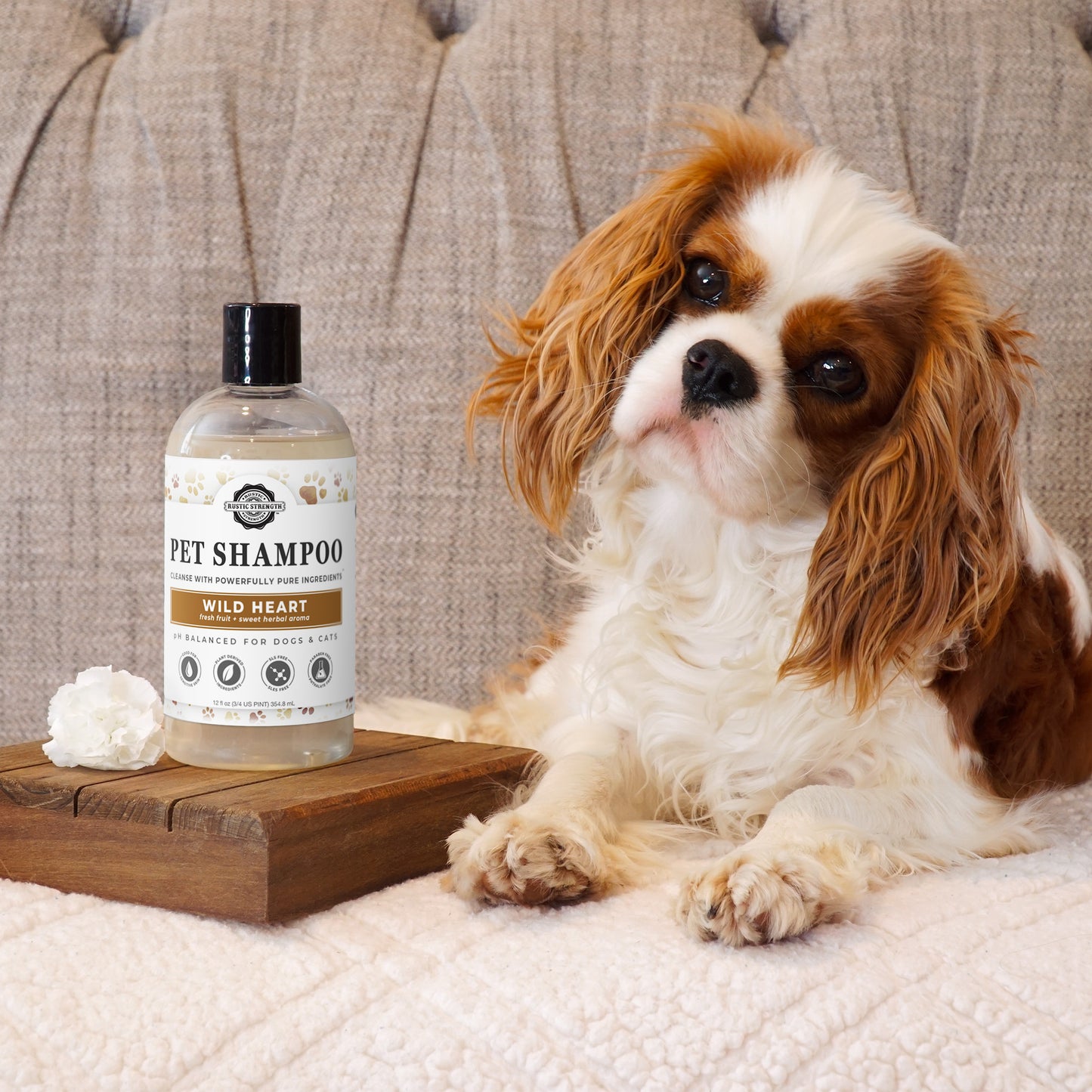 Pet Shampoo | 16oz Bottle