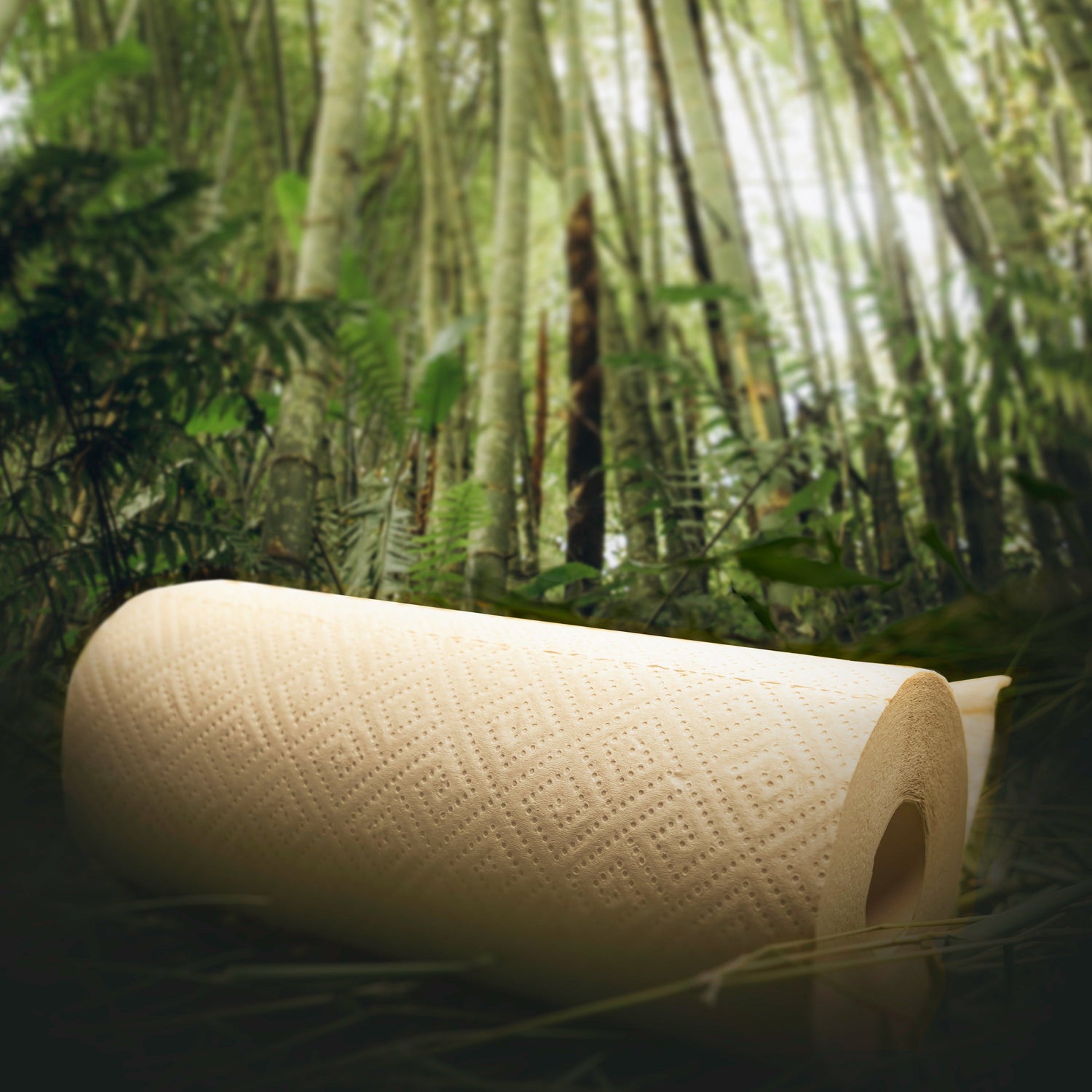 paper towels