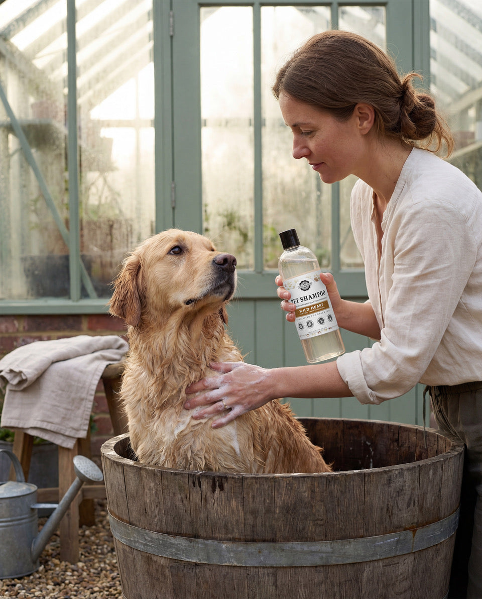 shop all pet care