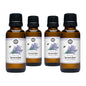 Lavender 40/42 Essential Oil