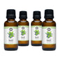 Basil Essential Oil