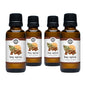 Bay Spice Essential Oil Blend