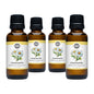 Chamomile Phthalate-Free Fragrance Oil