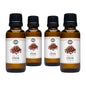 CLEARANCE | Clove Essential Oil | Limited Availability
