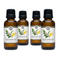 Fruity Green Tea Phthalate-Free Fragrance Oil