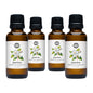 Jasmine Phthalate-Free Fragrance Oil