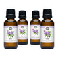Lilac Phthalate-Free Fragrance Oil
