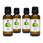 Lime Essential Oil