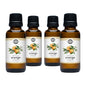 Orange Essential Oil
