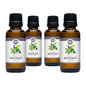Patchouli Essential Oil