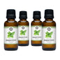 Peppermint Essential Oil