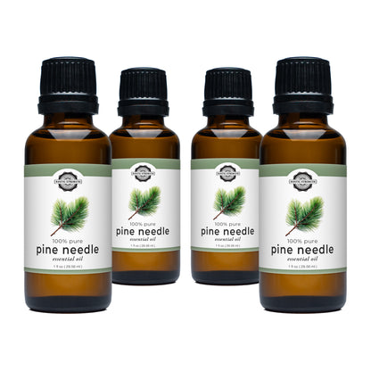 Pine Needle Essential Oil | Limited Availability