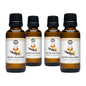 Vanilla Bourbon Phthalate-Free Fragrance Oil