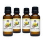 Buttery Vanilla Phthalate-Free Fragrance Oil