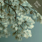 Rustic Strength, Illustrative image of light colored evergreen boughs with pinecones on a teal-green background, with a badge that reads, "Ships Free* When it is the only item in your cart"