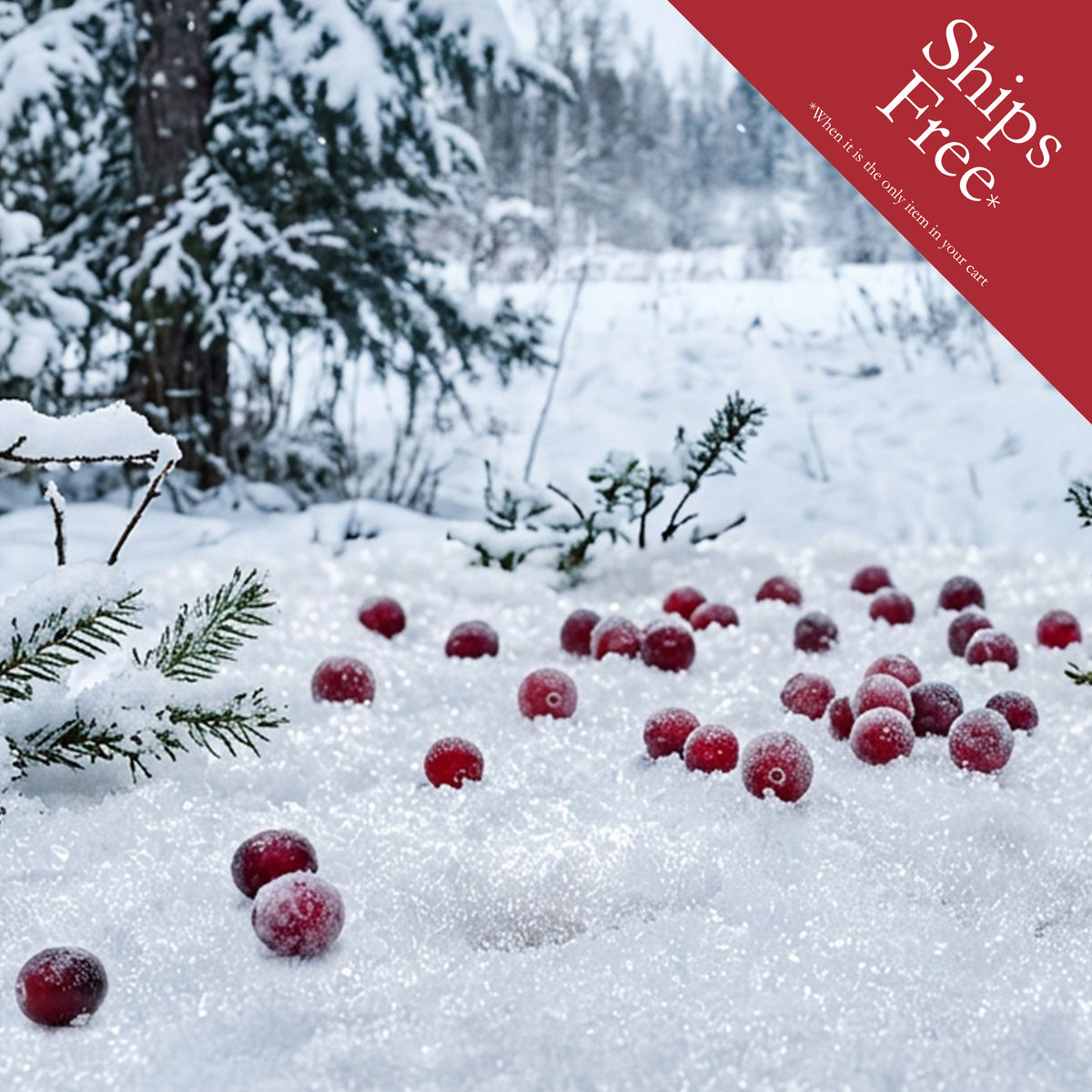 Rustic Strength, Red berries covered in frost scattered across a snowy forest ground, with snow-covered pine branches and trees in the background with badge that reads, "Ships Free* When it is the only item in your cart"