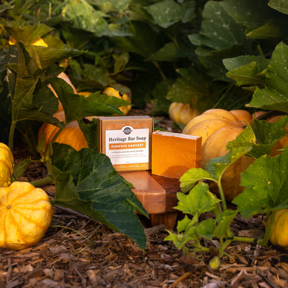 Bar Soap | Pumpkin Harvest | Retail-Ready 3.5 oz