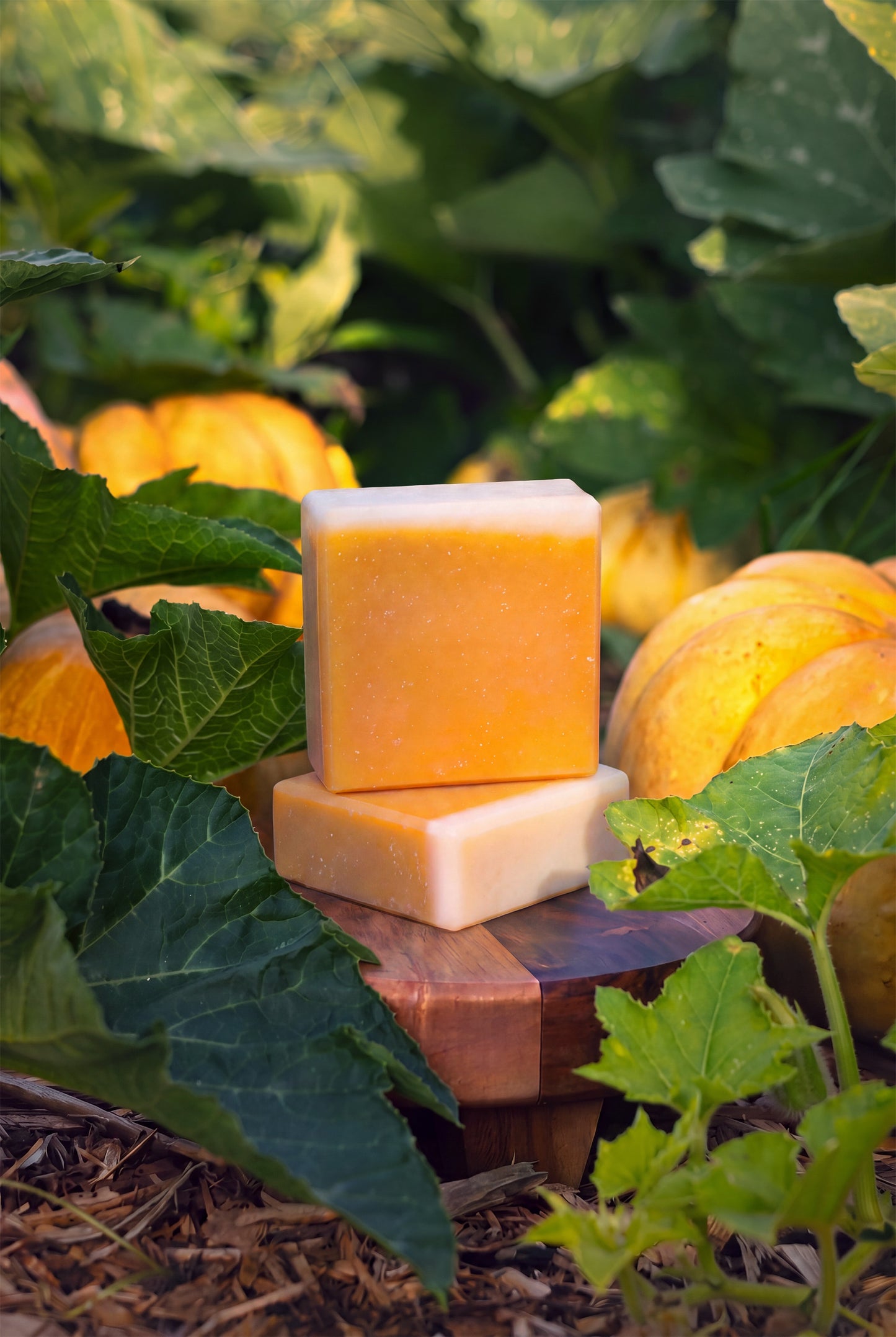 Bar Soap | Pumpkin Harvest | Retail-Ready 3.5 oz