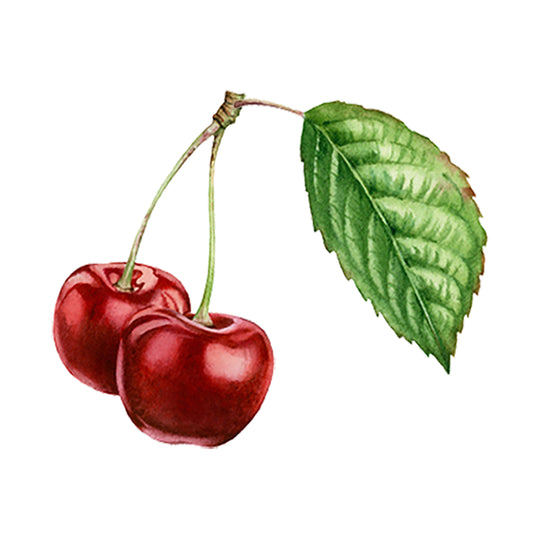 Cherry (Bitter Almond) Essential Oil Blend