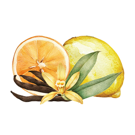 Citrus & Vanilla EO/FO Blend