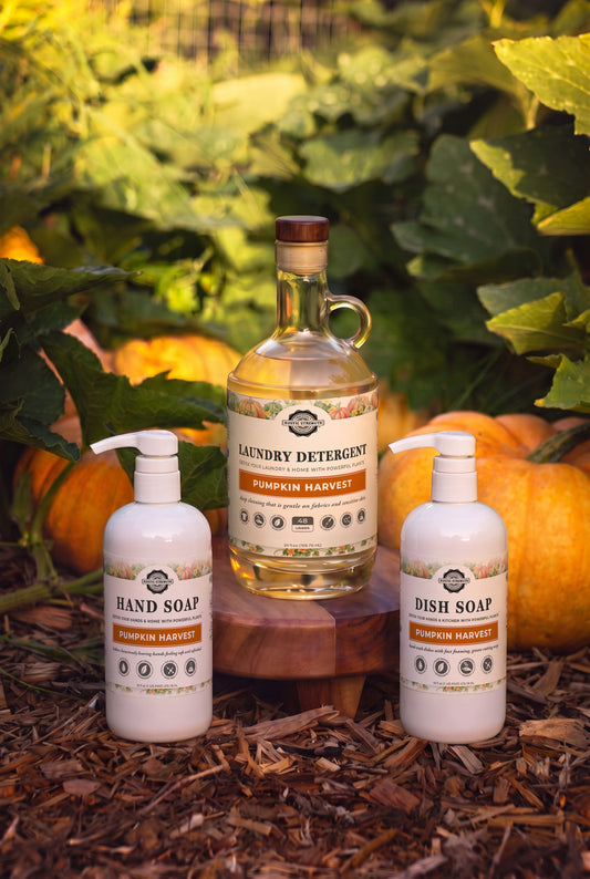 Autumn Sample Set | Retail Size Hand, Dish & Laundry | Pumpkin Harvest