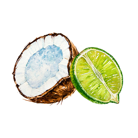 Coconut & Lime EO/FO Blend