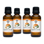 Pumpkin Harvest Phthalate Free Fragrance Oil