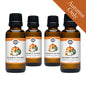 Pumpkin Harvest Phthalate Free Fragrance Oil