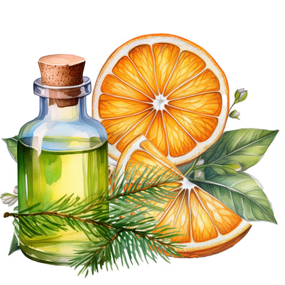 Fir Needle & Orange Essential Oil