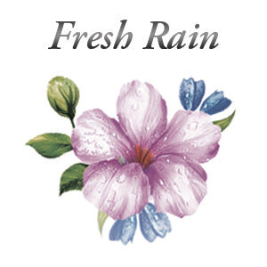 Spring Scent Sample Pack | Fresh Rain