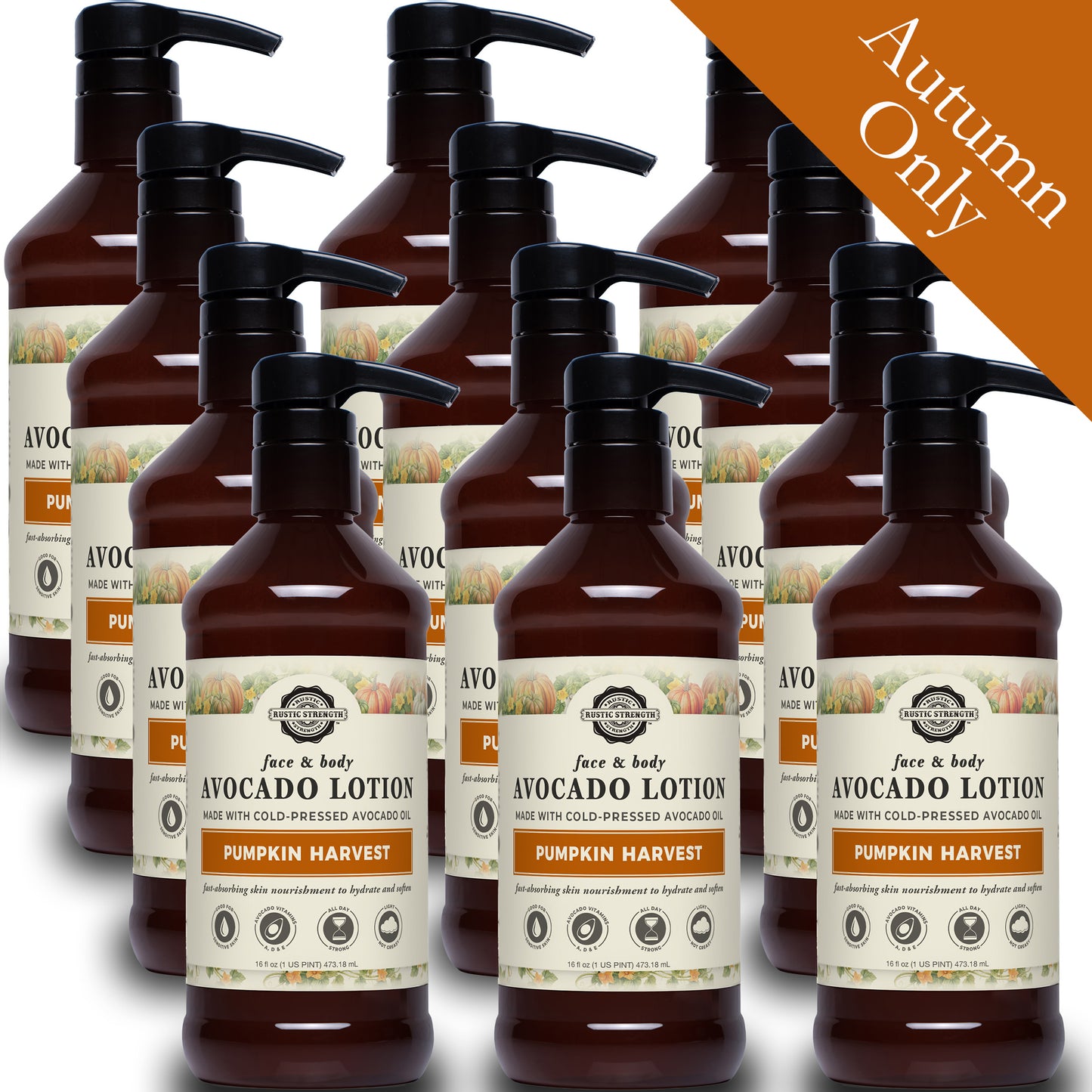 Avocado Lotion for Face & Body | Pumpkin Harvest | 16 oz Bottle