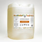 Laundry Detergent | Pumpkin Harvest