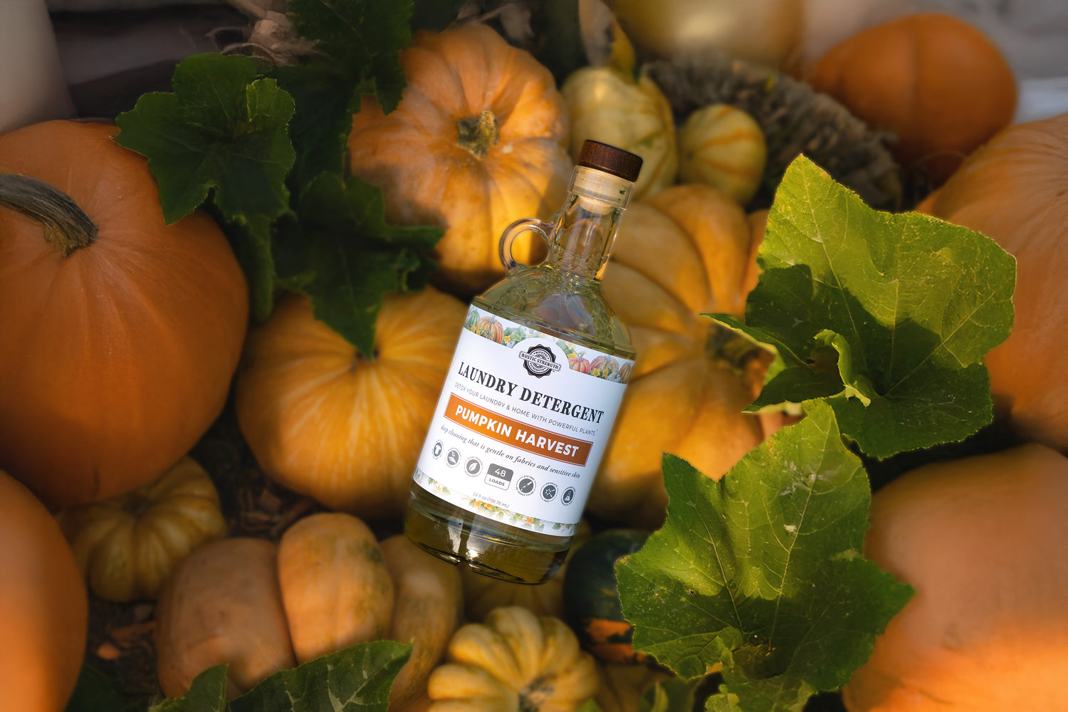 Rustic Strength Wholesale for refill stations, zero waste and retail ...