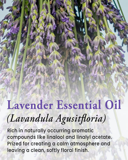 Bar Soap | Lavender & Lemon | Retail-Ready