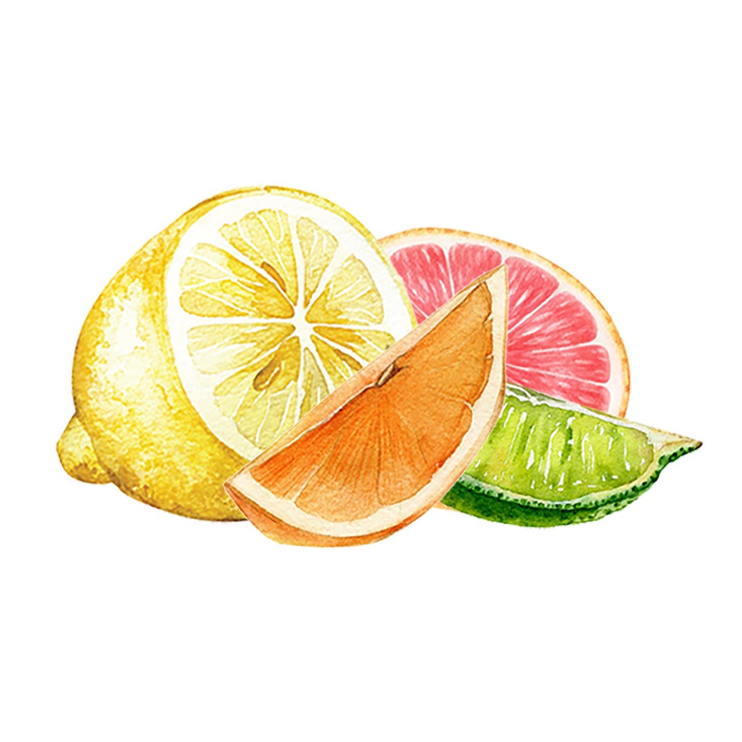 Lemon, Lime, Orange, Grapegruit Essential Oil Blend