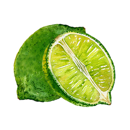 Lime Essential Oil