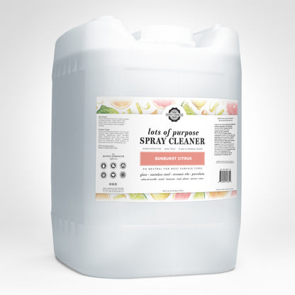 Lots of Purpose Spray Cleaner | Ready-To-Use