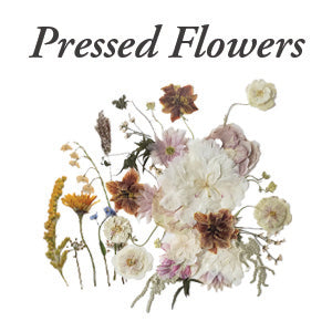 Spring Scent Sample Pack | Pressed Flowers