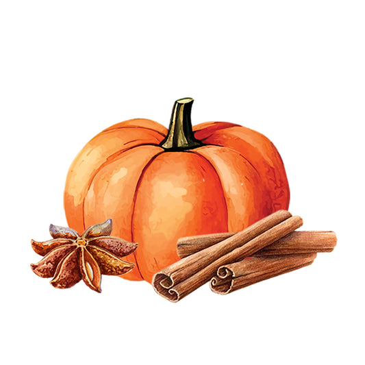 Pumpkin Spice Phthalate-Free Fragrance Oil