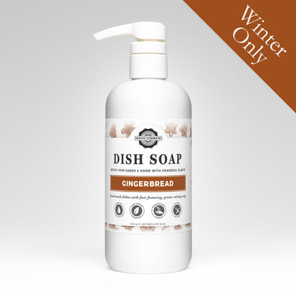 Dish Soap | Gingerbread | 16 oz Pump Bottle
