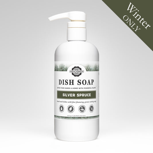 Dish Soap | Silver Spruce | 16 oz Pump Bottle
