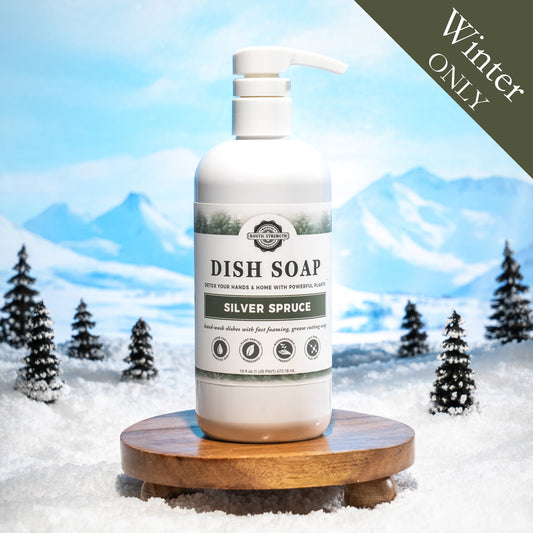 Dish Soap | Winter Scents | 16 oz Pump Bottle