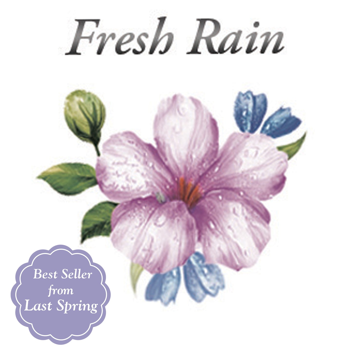 Spring Scent Sample Pack | Fresh Rain