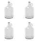 Glass Jugs | Gallon